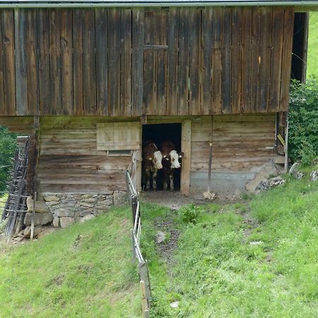 Bergpension-Ebental Brixen im Thale Eksteriør billede