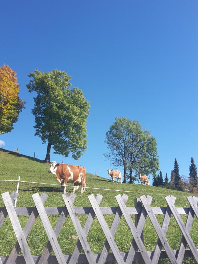 Bergpension-Ebental Brixen im Thale Eksteriør billede