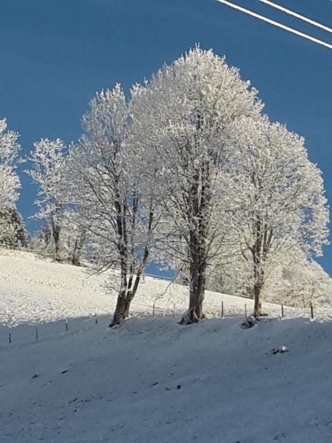 Bergpension-Ebental Brixen im Thale Eksteriør billede