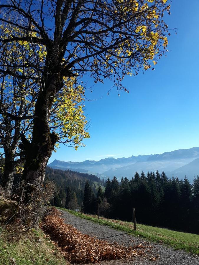 Bergpension-Ebental Brixen im Thale Eksteriør billede