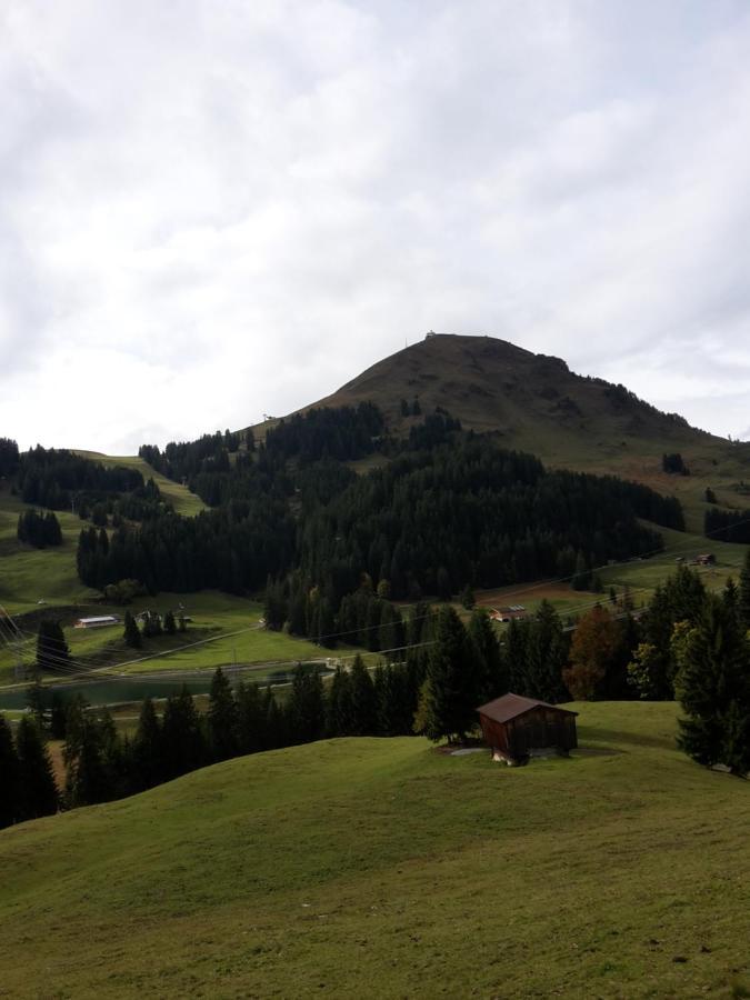 Bergpension-Ebental Brixen im Thale Eksteriør billede
