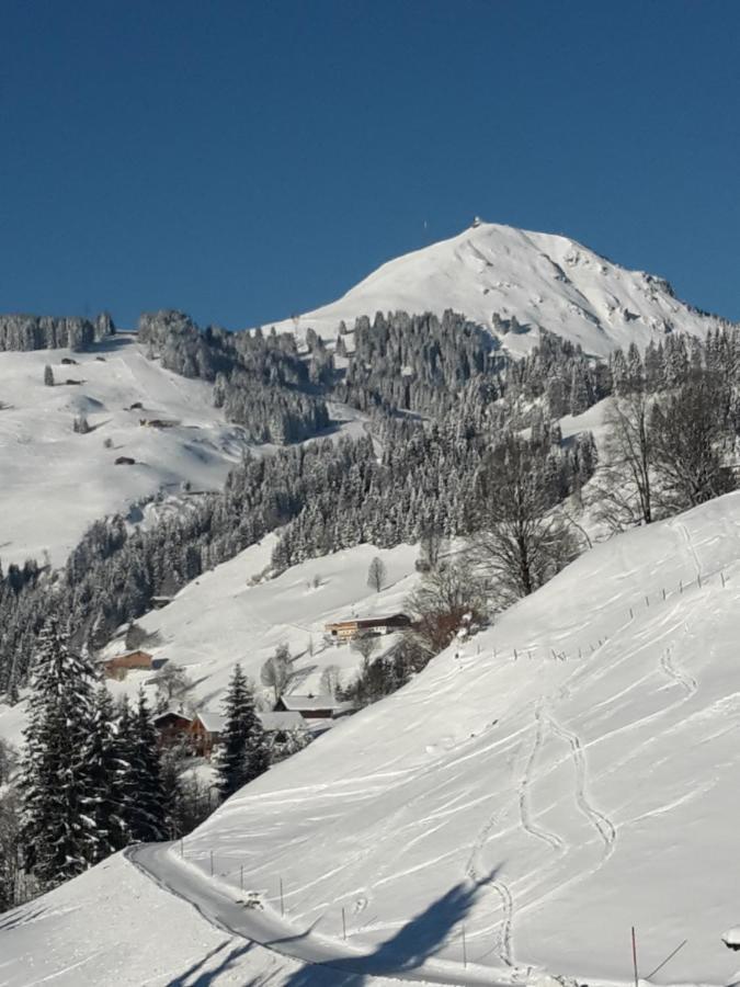 Bergpension-Ebental Brixen im Thale Eksteriør billede