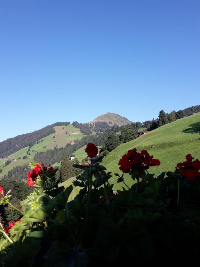 Bergpension-Ebental Brixen im Thale Eksteriør billede