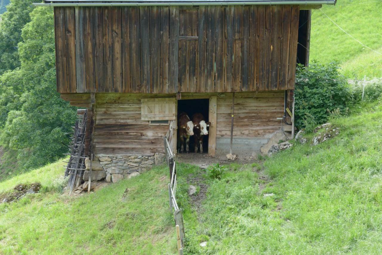 Bergpension-Ebental Brixen im Thale Eksteriør billede